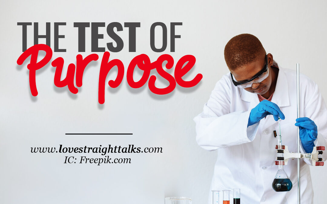THE TEST OF PURPOSE 